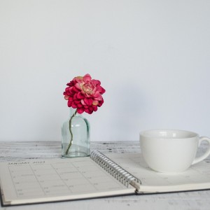 Welcome to Our New Digital Home!